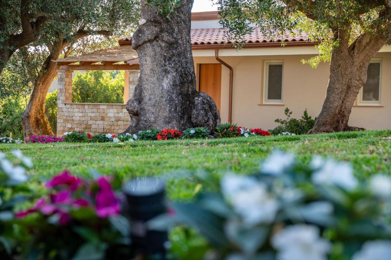 Il Mirto Residence Marina di Camerota Extérieur photo