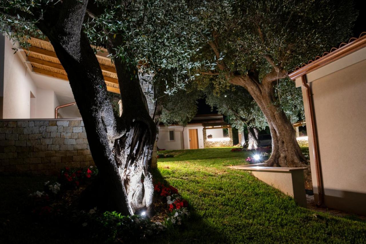 Il Mirto Residence Marina di Camerota Extérieur photo