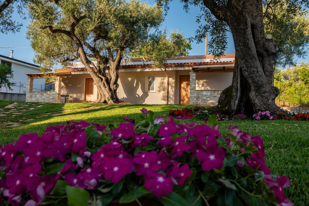 Il Mirto Residence Marina di Camerota Extérieur photo